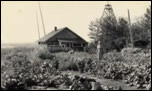 Mabel Hiffernan, Homestead, Rolla, British Columbia