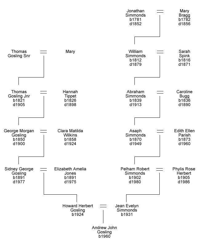 Designs For Family Trees. Simplified Family Tree